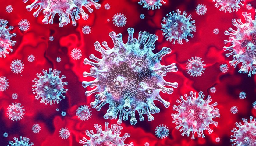 Latest Insight on the Novel Strains of Coronavirus