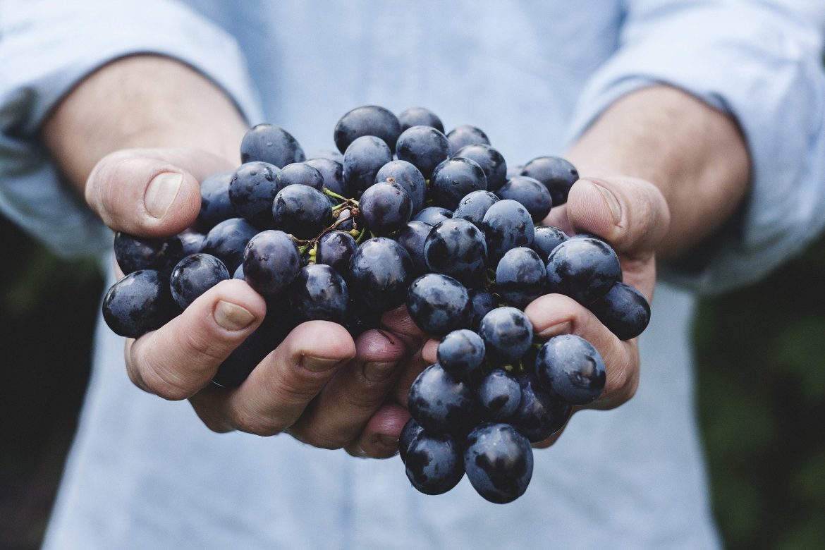 Fiction or Fact: 5 Myths about Food and Nutrition Fiction or Fact: 5 Myths about Food and Nutrition