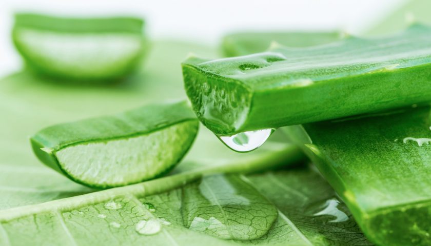 Health Benefits of Aloe Vera You Need to Know