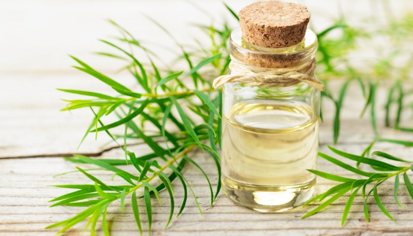 Tea Tree Oil Benefits