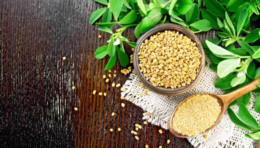 Health Benefits of Fenugreek Seeds