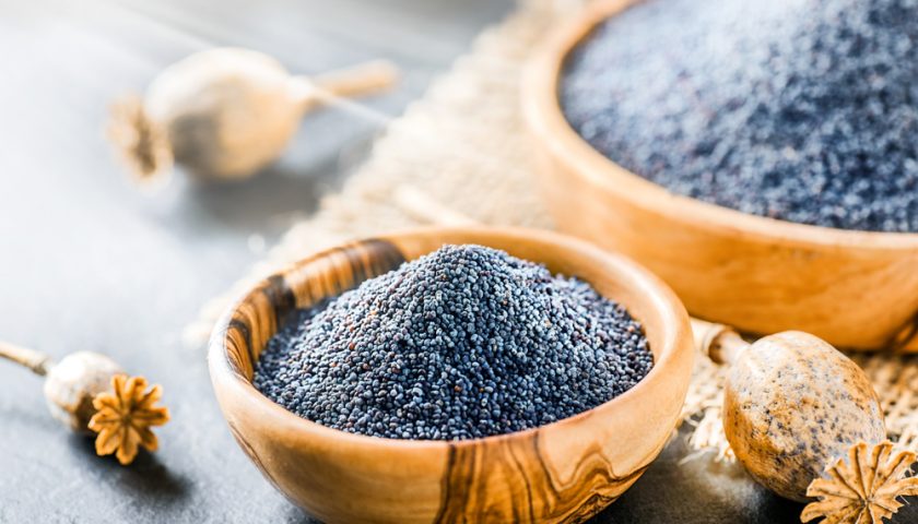 Khashkhash Benefits/Poppy Seeds