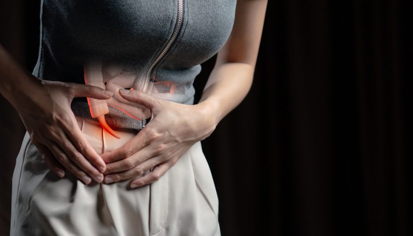 appendix