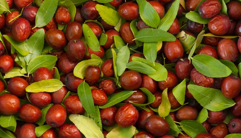 anab benefits