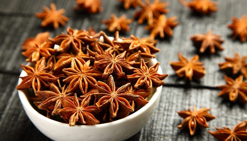 Star Anise/Badiyan ka Phool Benefits