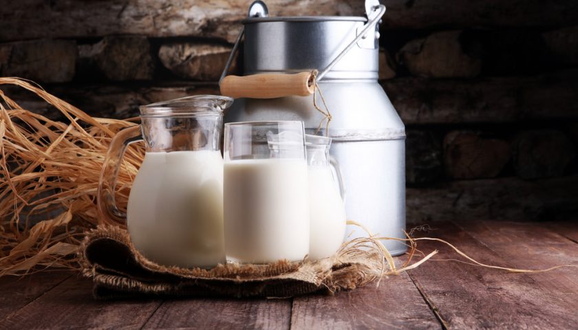 Benefits of Milk to Boost your Health