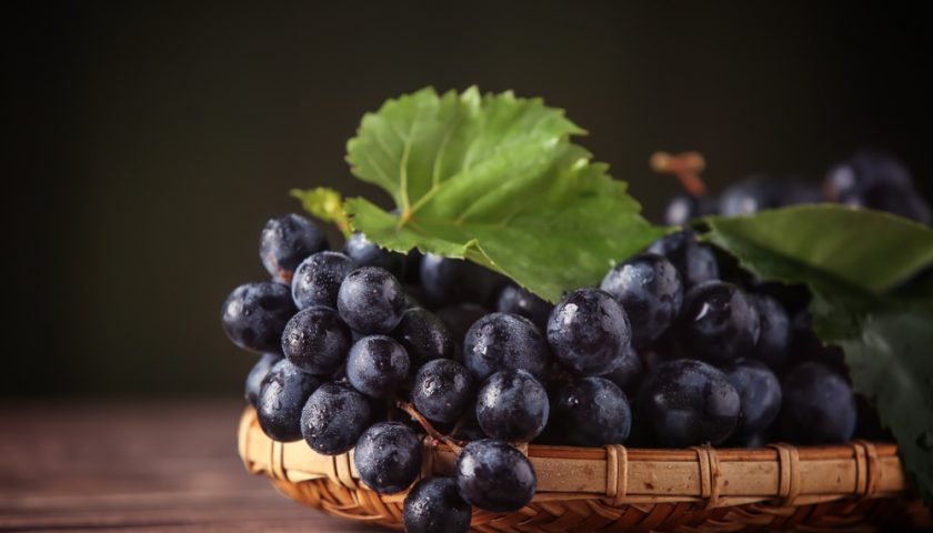 black grapes benefits