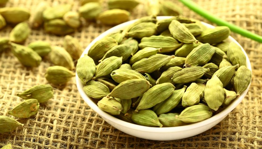 elachi benefits