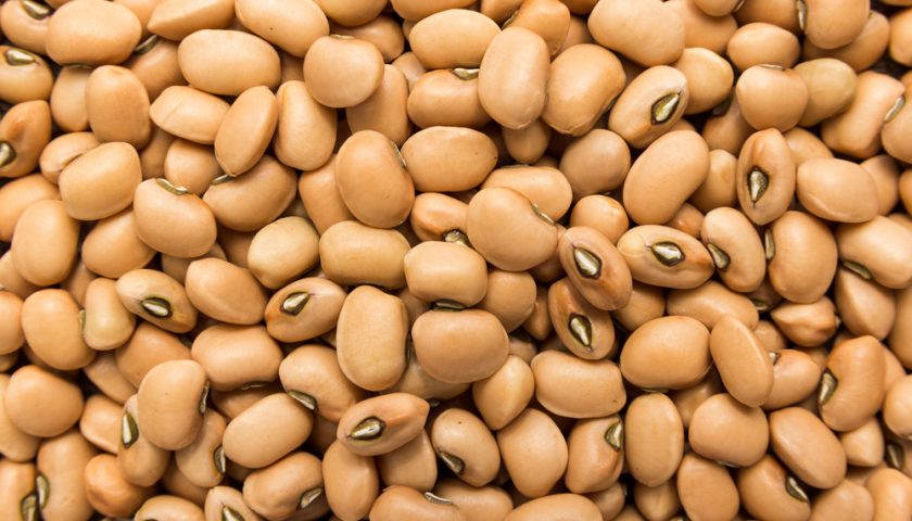 Lobia Kay Fawaid