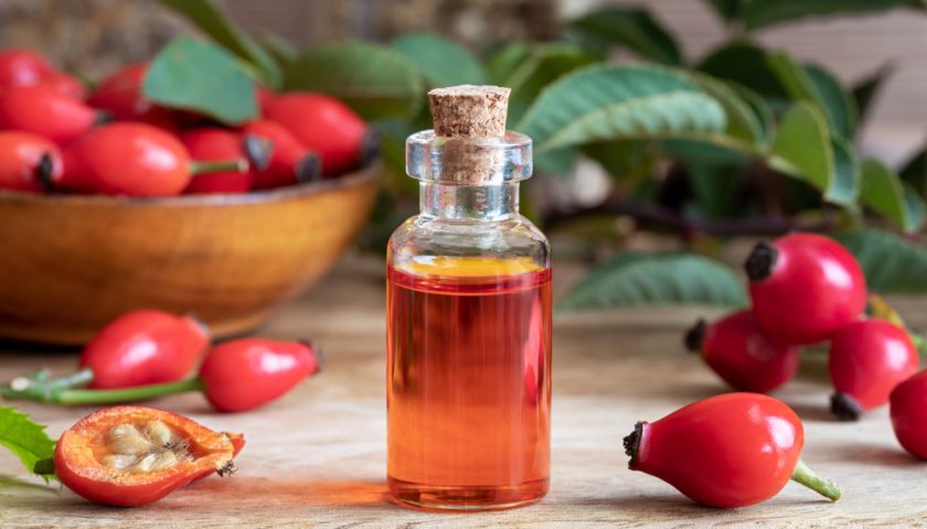 Rosehip Oil Benefits for your Face