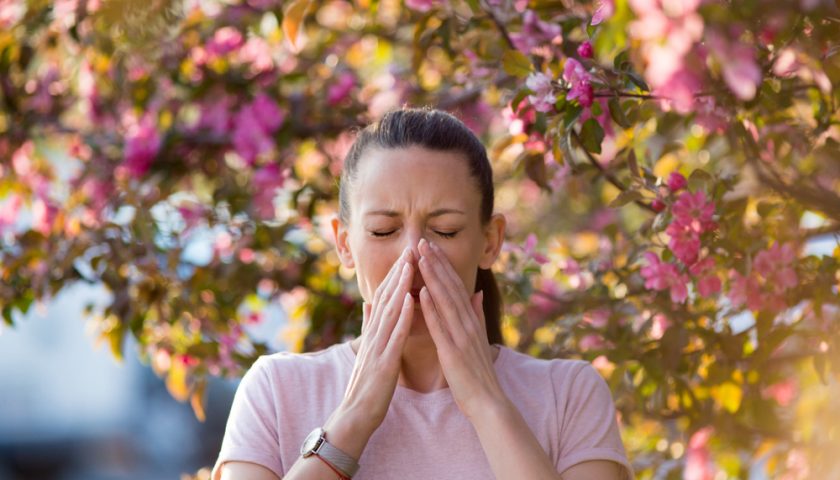 Pollen Allergy Home Remedies