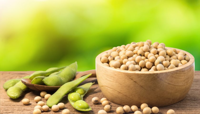 soya-bean-kay-fawaid