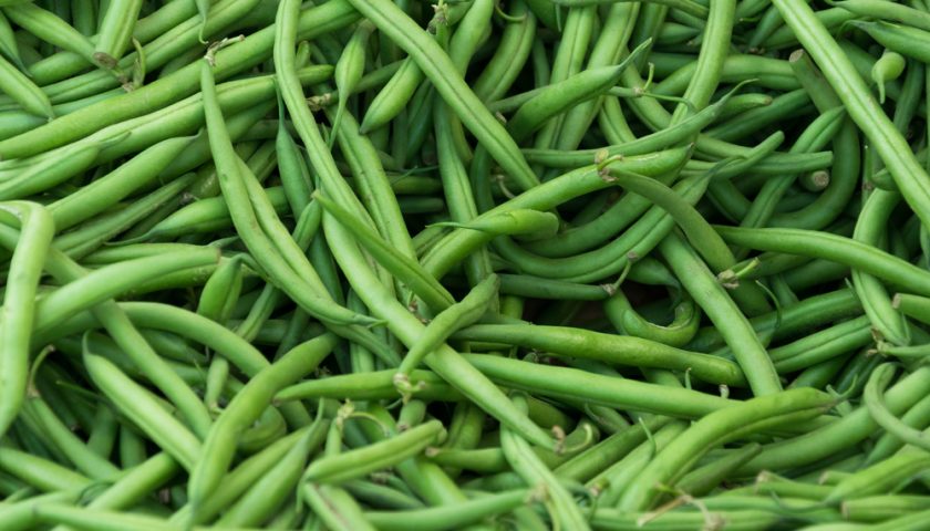 Are Green Bean Good For You