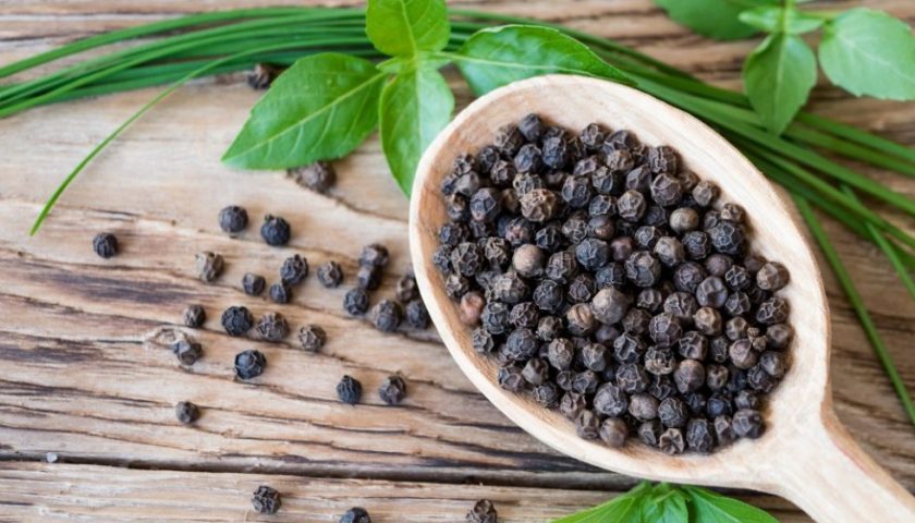 Black Pepper Benefits on Your Health