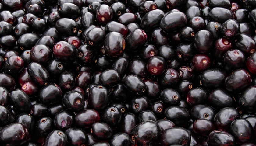 Jamun Benefits
