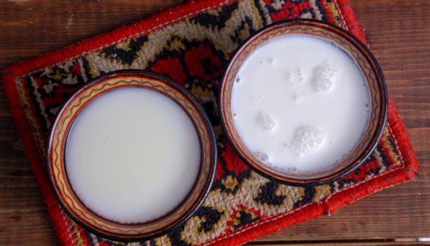 Camel Milk Benefits