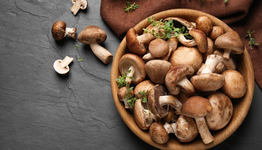 Mushroom Benefits