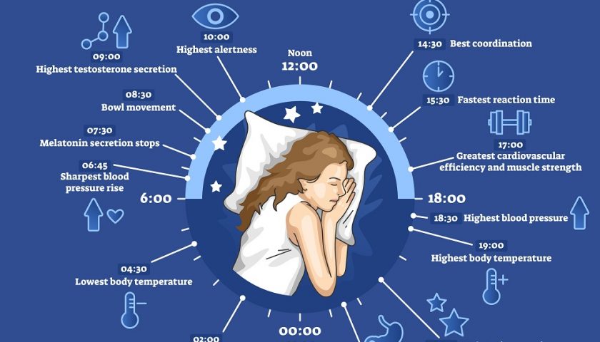 what-is-the-best-time-to-sleep-and-wake-up-healthwire