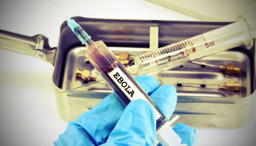 What is Ebola Virus Disease