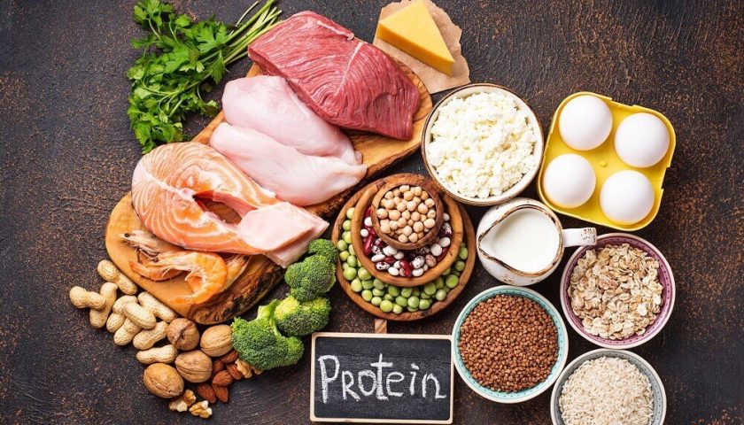 High Protein Foods